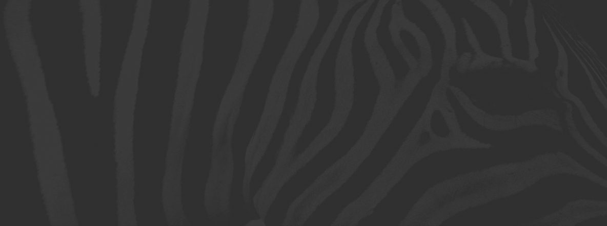 zebrabg